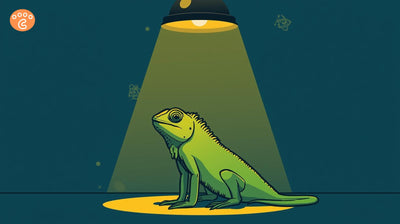 Cartoon iguana under a yellow spotlight with science symbol in the background.